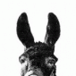 Profile picture for user PLoK