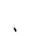 Profile picture for user Beatus