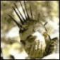 Profile picture for user Andrés Chandía