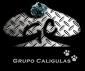 Profile picture for user EMMG0005
