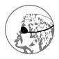 Profile picture for user Eu Karmelu