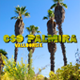 Profile picture for user csopalmira
